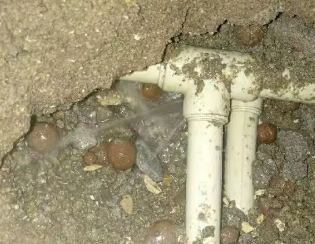 大田卫生间测漏