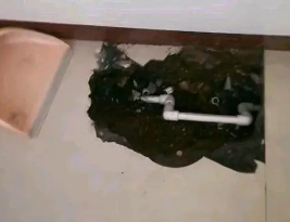 大田卫生间测漏水多少钱